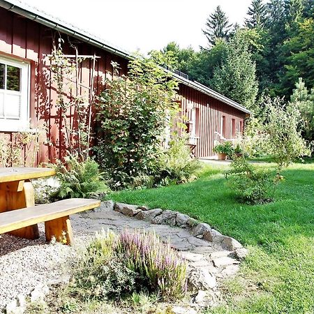 Thueringer Waldidyll Lägenhet Brotterode Exteriör bild